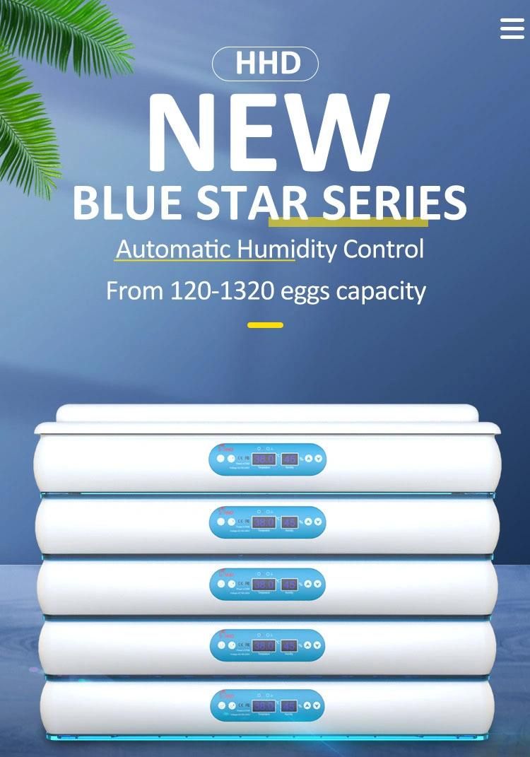 2021 Newest Blue Star 360 Eggs Capacity Chicken Eggs Incubator for Sale