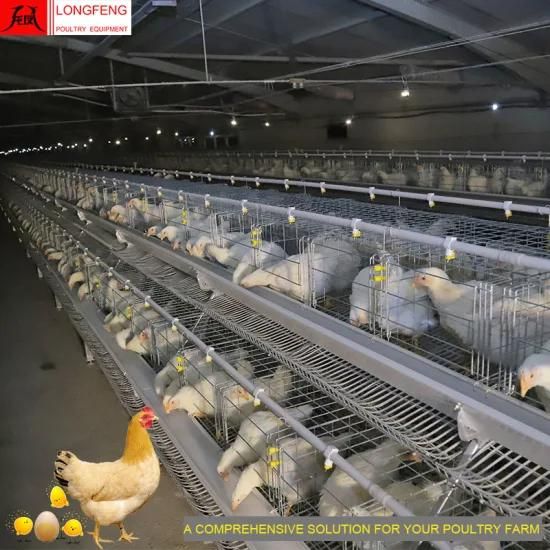 Longfeng High Quality Most Advanced Technology Low Egg Broken Rate Poultry Equipment for a ...