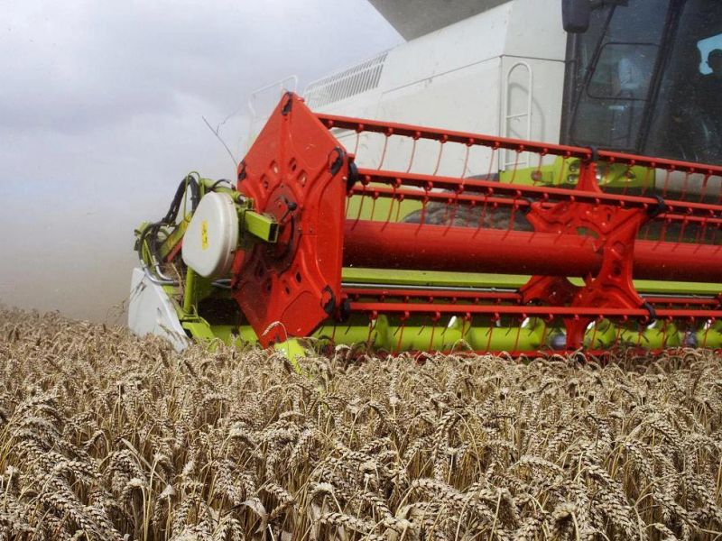 China Made Wheel Combine Harvester Ge80 for Wheat Harvesting