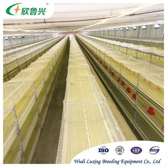 H Type Chicken Cage Equipment for Poultry Broiler Farming Made of Hot DIP Steel