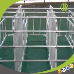 Factory Supply Pig Equipment Sow Gestation Stall for Pigs