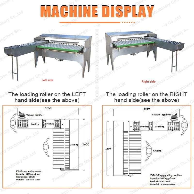 5 Grades Chicken Egg Sorter, Duck Egg Sorting Machine, Chicken Egg Grading Machine by Weight