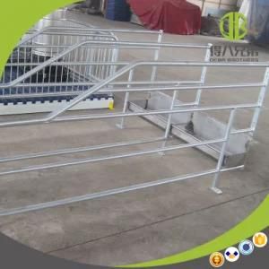 Farm Equipment New Design Livestock Pig Gestation Stall