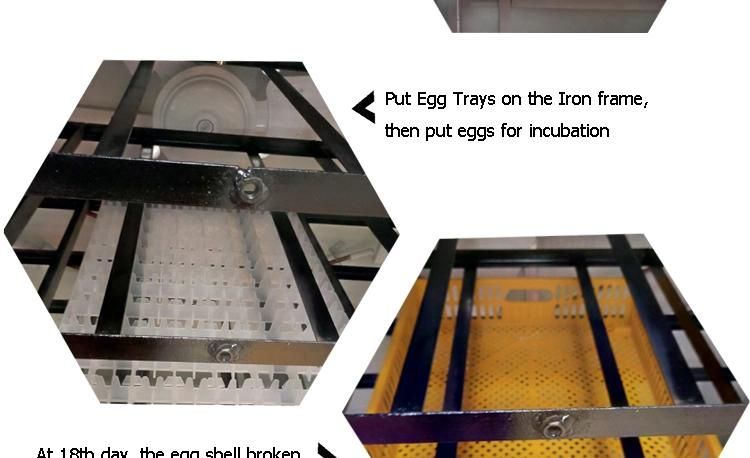 Industrial Poultry Automatic Chicken 10000 Egg Incubator Setter Hatcher Machine