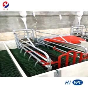 New Design Safe Farrowing Crates for Pigs- Factory Directly Sale