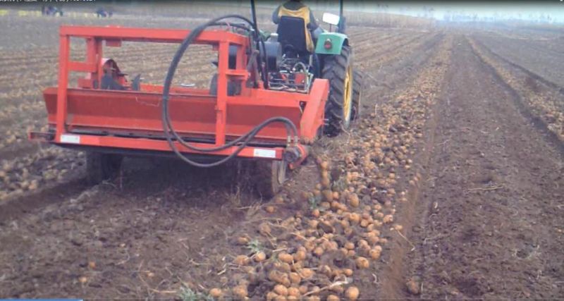 Most Popular Product Potato Combine Harvester Sweet Potato Harvesting Machine Farm Machine