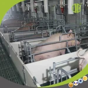 Hot DIP Galvanized Pig Farm Equipment for Sow Farrowing Bed