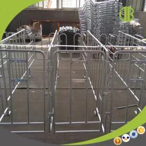 Pig Gestation Stall with Good Price and Good Quality