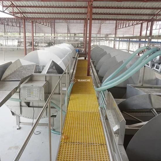 Chicken Feet Processing Equipment Grading equipment Slaughter Line for Poultry Chicken ...