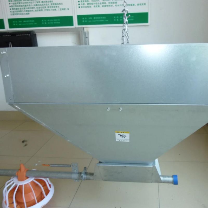 6 Grades Feed Level Automatic Broiler Feeding Line System