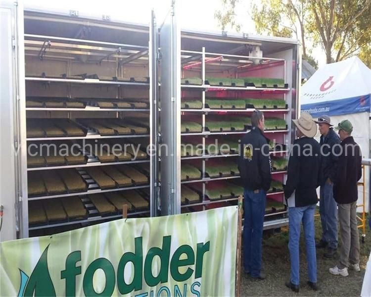 Professional Hydroponic Fooder Growing Machine For Pasture