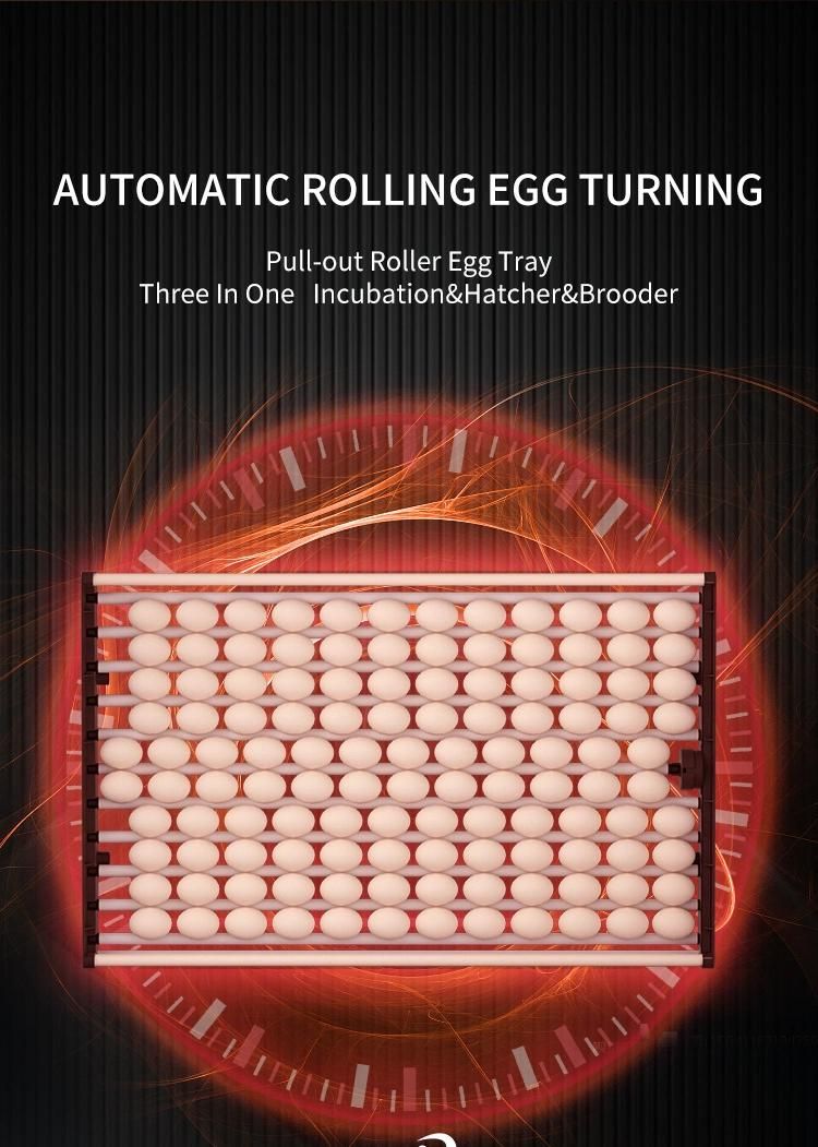 Hhd Transparent Automatic Digital 1000 Chicken Eggs Incubator