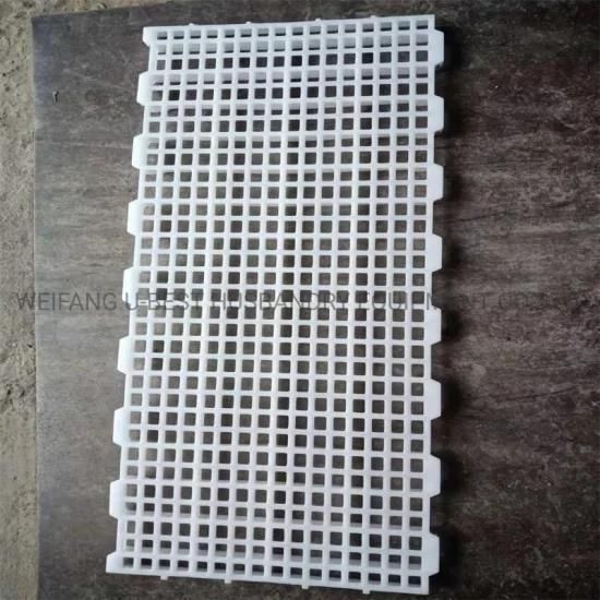 China Pure PP Poultry Farm Grid Plastic Floor