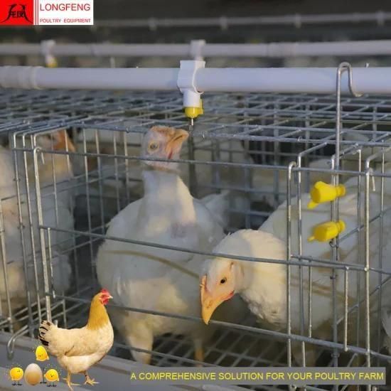 Longfeng High Quality 275g Hot Galvanized Chicken Farm Equipment