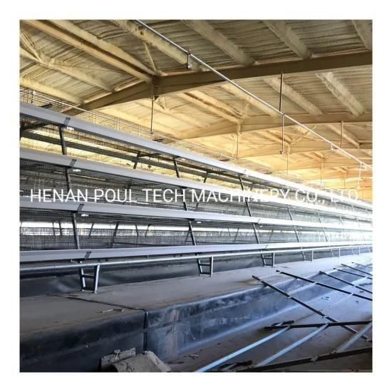 Automatic Design Battery Layer Chicken Cages Commercial Quail Layer Cage