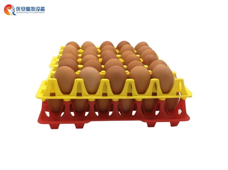 Transport Tray Packing Transport Tray Breeding Egg Plastic Chicken Egg Tray 30 Holes Egg Tray Price