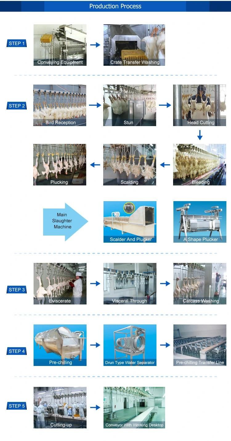 Used for 500-10000bph Poultry Machinery Slaughter Plucker /Chicken Slaughtering Equipment /Slaughtered House