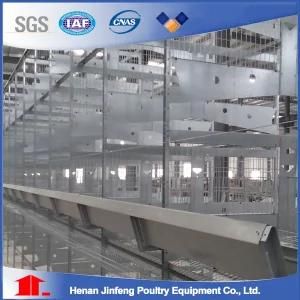 H Type Layer Farm Automatic Chicken Equipment Cage