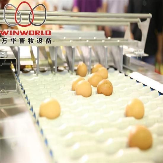 Chicken Egg Package Machine for Poultry Farm