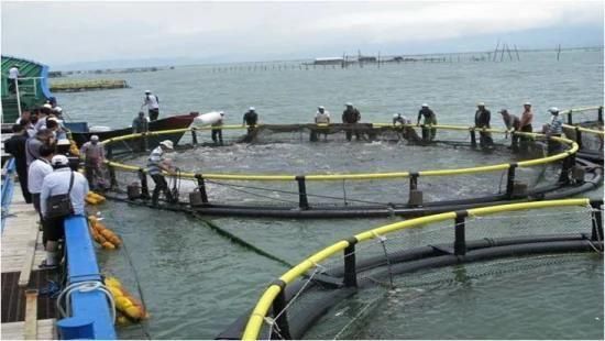 Aquaculture Circular Deep Sea Fish Farming Cage