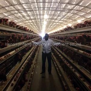 Automated Poultry Farm Chicken Cage (Poultry Equipment)