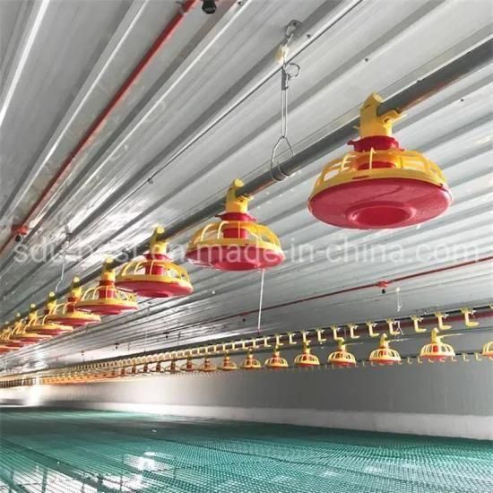 Automatic Ground Feeding Equipment for Poultry Chicken Farm
