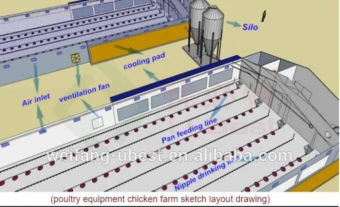 Automatic Feeding Line System Pan Feeder Nipple Drinker Poultry Farming Equipment for Broiler Chicken Products