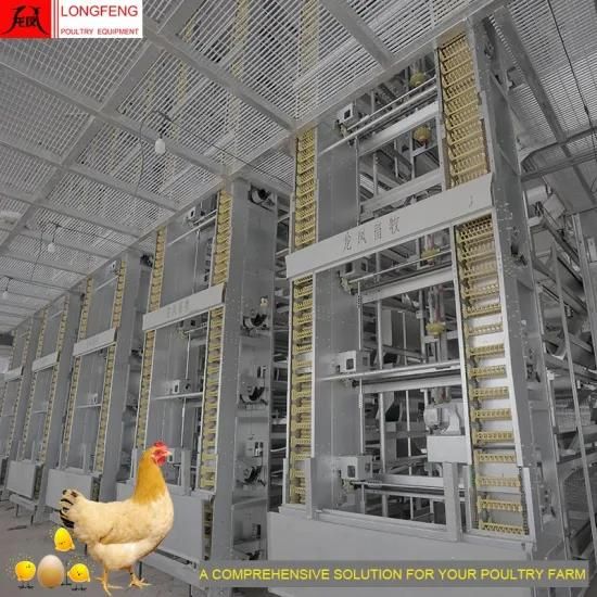 Fans and Cooling Pad Poultry Farm Chicken Cage 96 Birds-384 Birds Per Set