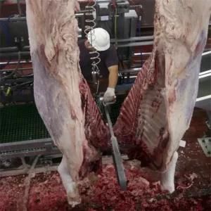 Halal Beef Production Machine Cattle Slaughtering Line Equipment for Abattoir Process ...