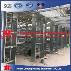 H Frame Layer Battery Equipment Cage for Chicken Birds Farm