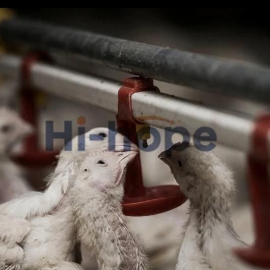 Livestock Husbandry Poultry Feeding Drinking Equipment for Broiler Farm