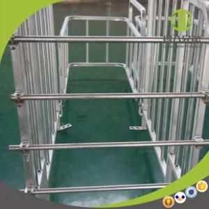 Pig Farming Use Hot Galvanized New Gestation Crate Sow Stall
