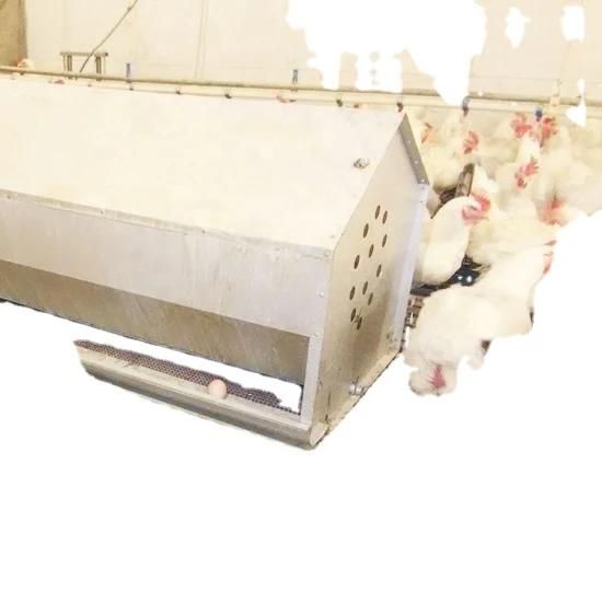 Poultry Farm Automatic Egg Collection Equipment with Egg Belt for Poultry Farm
