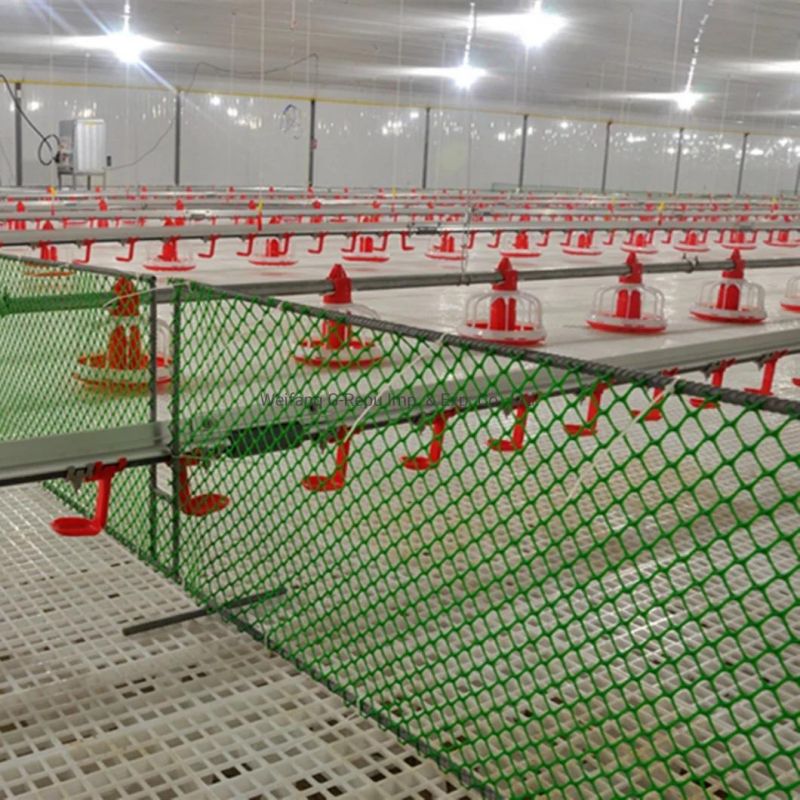 Factory Price Pure Plastic Slat Floor for Chicken Goose Duck