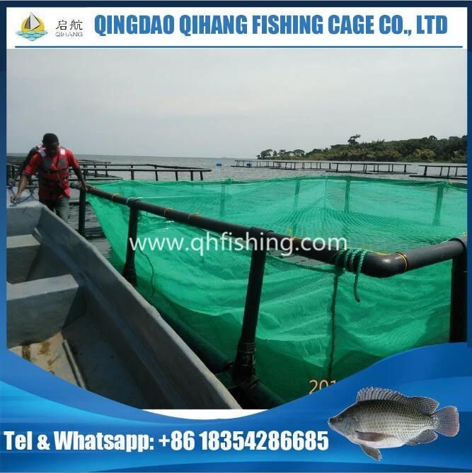 Tilapia Fish Farming Cage for Uganda Market