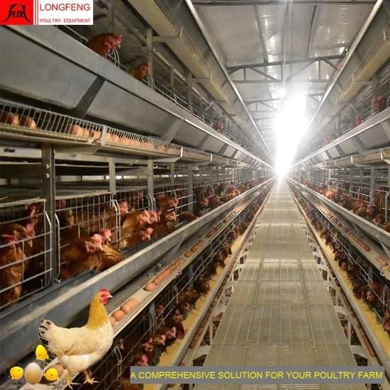 Fans and Cooling Pad Automatic Poultry Chicken Cages Valid for 15-20 Years