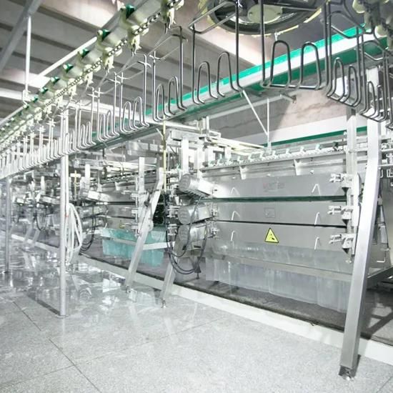 Chicken Slaughtering Equipment in Poultry Processing Conveyor Line for Broiler