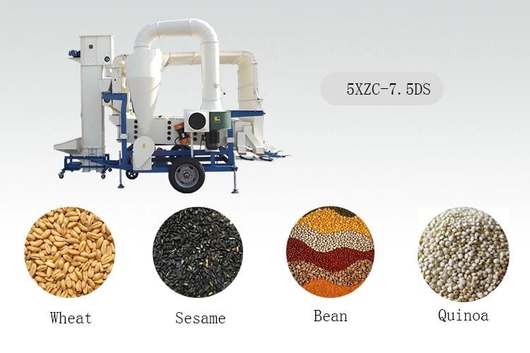 Seed Cleaning Machine Grain Bean Processing Machine Air Screen Seed Cleaner