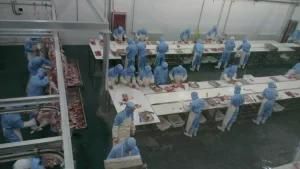 Slaughtering Butcher Transport Double Rack Meat Hooks Ganchos De Matadero Ovino Y Cerdo