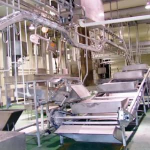 Cattle Meat Processing Machine Cattle Cow Slaughtering Equipment for Cattle Slaughter ...