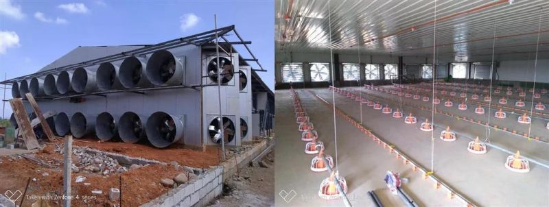 Hot Sale Steel Structure Broiler House Assembled Poultry Farm Chicken