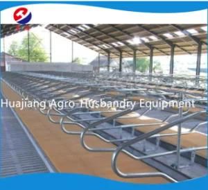 Heavy Duty Cow and Cattle Stall for Farm Free Sample for Cattle Farm