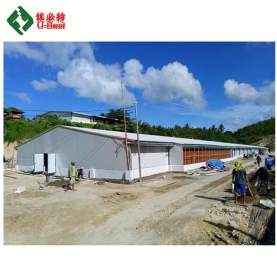 Cheap Steel Structure Poultry Farm in China Poultry Equipment Chicken Farms