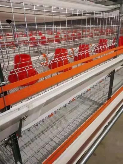 Chicken Farm Cages Poultry Cage Egg Chicken Duck Layer Cage