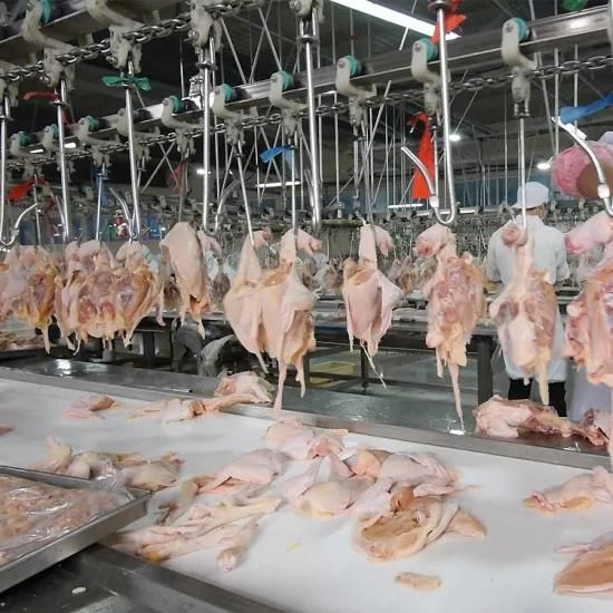 1000bph Chicken Slaughterhouse Slaughterhouse Process Line Slaughtering Equipment