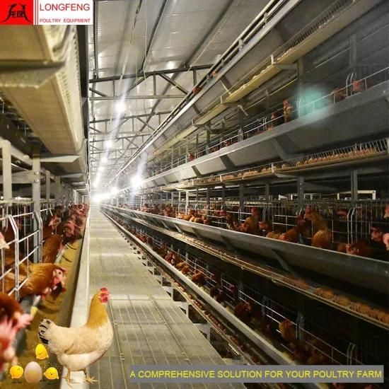 Low Egg Broken Rate Computerized Automatic Poultry Chicken Cages Valid for 15-20 Years