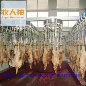Slaughtering Line in Meat Processing in Poultry House