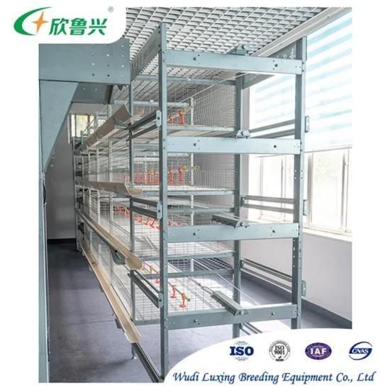 4 Tiers Chicken Cages with Fully Automatic System Design From China