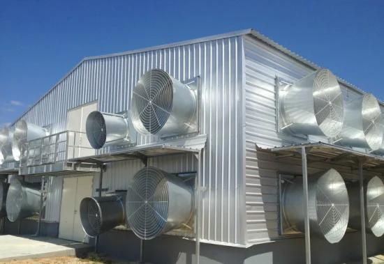 Prefabricated Steel Structure Poultry Farm House with Full Set Poultry Equipment