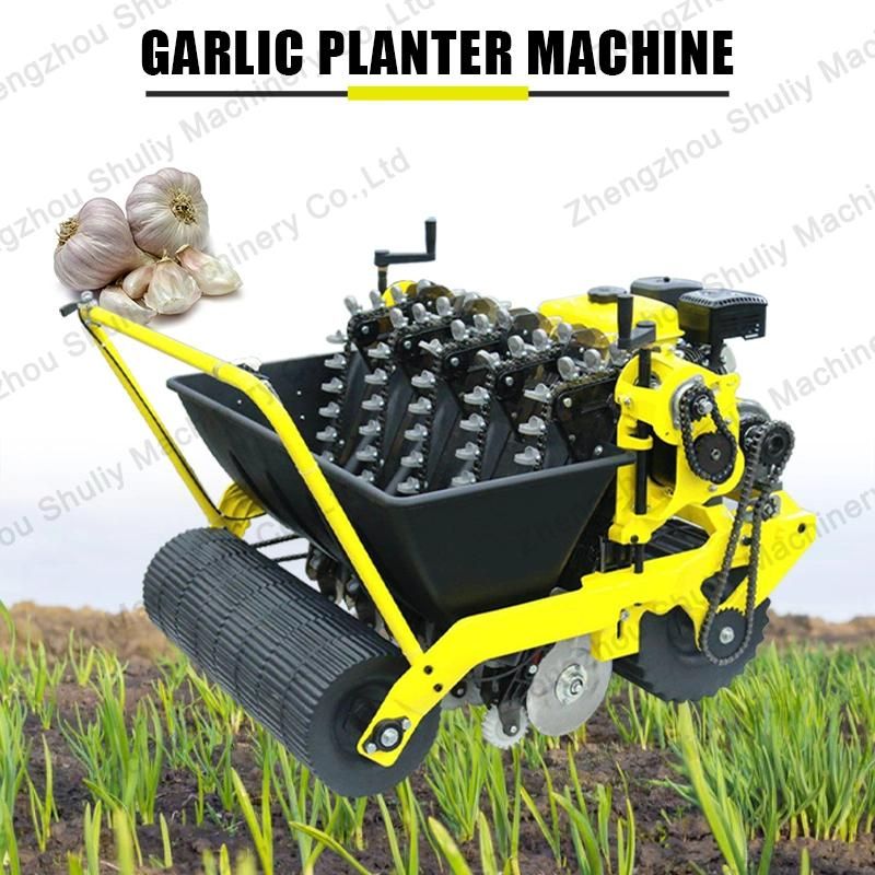 Garlic Planter 2 Rows Garlic Processing Plant Garlic Planting Machine